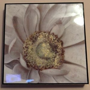 Meet your Posher, Rose